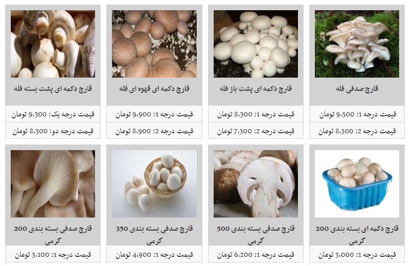 قارچ بسته بندی در غرفه تره بار چند؟