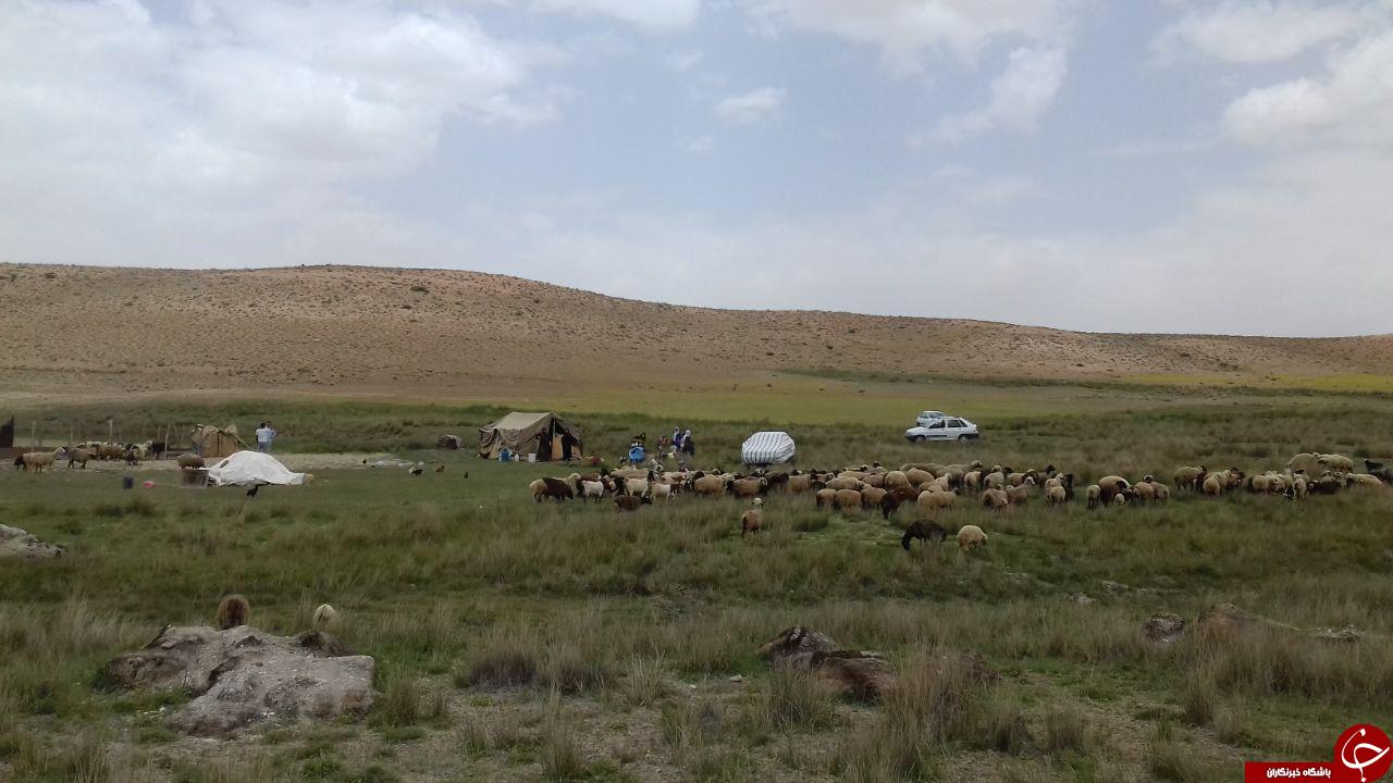 نمایی از طبیعت بی&zwnj;نظیر در &laquo;نارگ موسی&raquo; + تصاویر