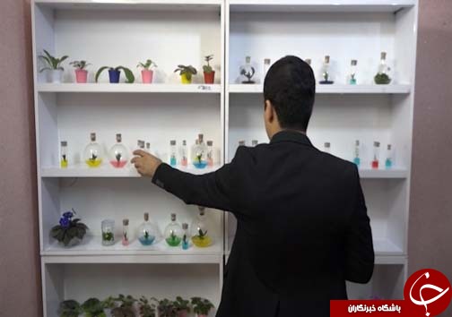 تولید گل و گیاه در شیشه&zwnj;های مینیاتوری
