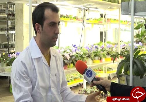 تولید گل و گیاه در شیشه&zwnj;های مینیاتوری
