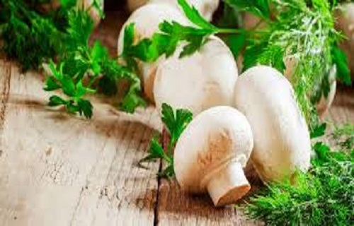 خطوط سیاه در ناخن نشانه چیست؟/گیاه غابث مفید در ترمیم جای زخم/علت شوره سر چیست؟/چگونه میتوان گریه نوزاد را بند آورد؟ خطوط سیاه در ناخن نشانه چیست؟/گیاه غابث مفید در ترمیم جای زخم/علت شوره سر چیست؟/چگونه میتوان گریه نوزاد را بند آورد؟