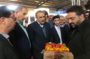 نا امیدی فعالان اقتصادی و مردم هدف دشمن