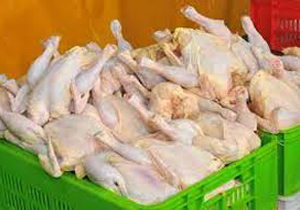 نظارت بهداشتی برکشتار بیش از چهار میلیون قطعه مرغ گوشتی در خراسان شمالی