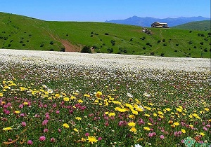 برگزاری مسابقات بین‌المللی شطرنج  در سرعین