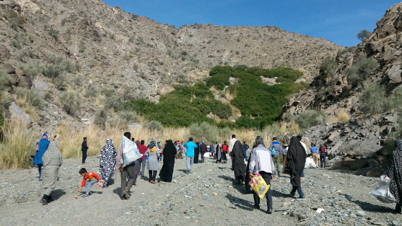 مُورد، سمبل جوانی و زیبایی