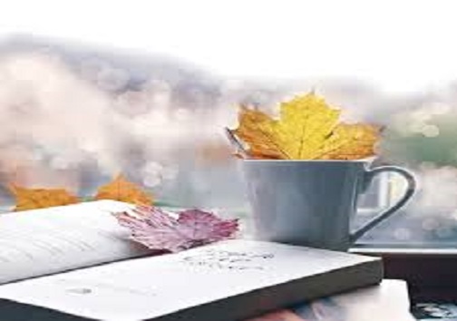 کتابخانه های که &laquo;بی&raquo;کتاب خوانی خاک میخورند/بی رغبیت مردم به کتاب وکتاب خوانی
