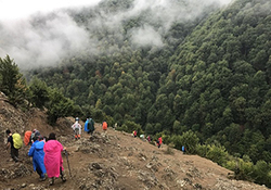 پذیرایی مردم استان سیستان و بلوچستان از درناهای اوراسیایی + فیلم