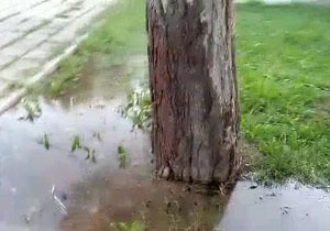 آبیاری غیر اصولی فضای سبز مقابل فرهنگسرای خاوران + فیلم
