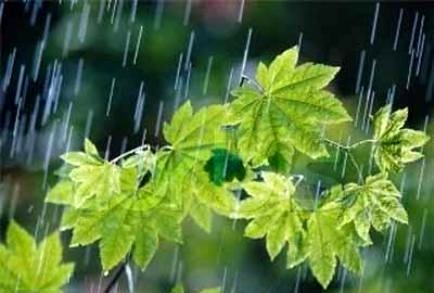 بارش باران و وزش باد در کرمان