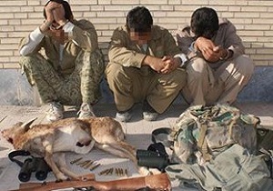دوباره به  دام افتادن  قاچاقچیان حیات وحش