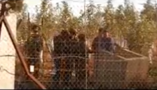 ترس سربازان اسرائیلی از نزدیک شدن به حفاظ توری +فیلم