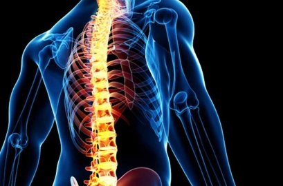با این روش&zwnj;های ساده سلامت ستون فراتتان را تضمین کنید
