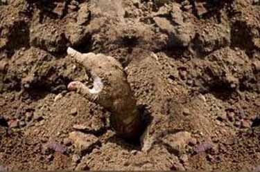 چرا عیلامی&zwnj;ها از زامبی&zwnj;ها وحشت داشتند؟
