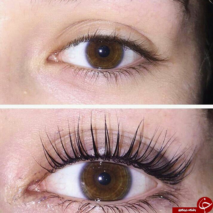 تفاوت بین کاشت و اکستنشن مژه در چیست؟ / دانستنیهایی جالب درباره کاشت و اکستنشن مژه تفاوت بین کاشت و اکستنشن مژه در چیست؟ / دانستنیهایی جالب درباره کاشت و اکستنشن مژه