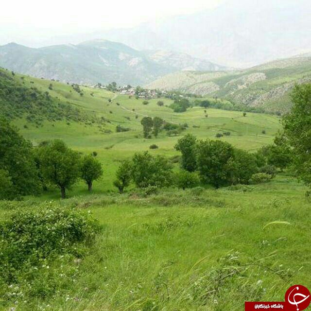 طبیعت زیبا و دیدنی در «لمهاسلام» + تصاویر طبیعت زیبا و دیدنی در «لمهاسلام» + تصاویر