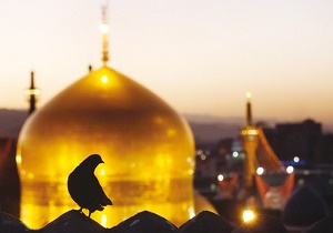 اعزام ۴۲ معلول زیر پوشش بهزیستی سرایان به مشهد مقدس