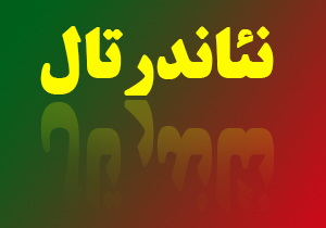 دندان شیری کودک نئاندرتالی، نخستین ردپای ساکنان ماقبل تاریخ در خاک ایران + صوت