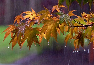 بررسی میزان بارندگی‌های شب گذشته در خوزستان