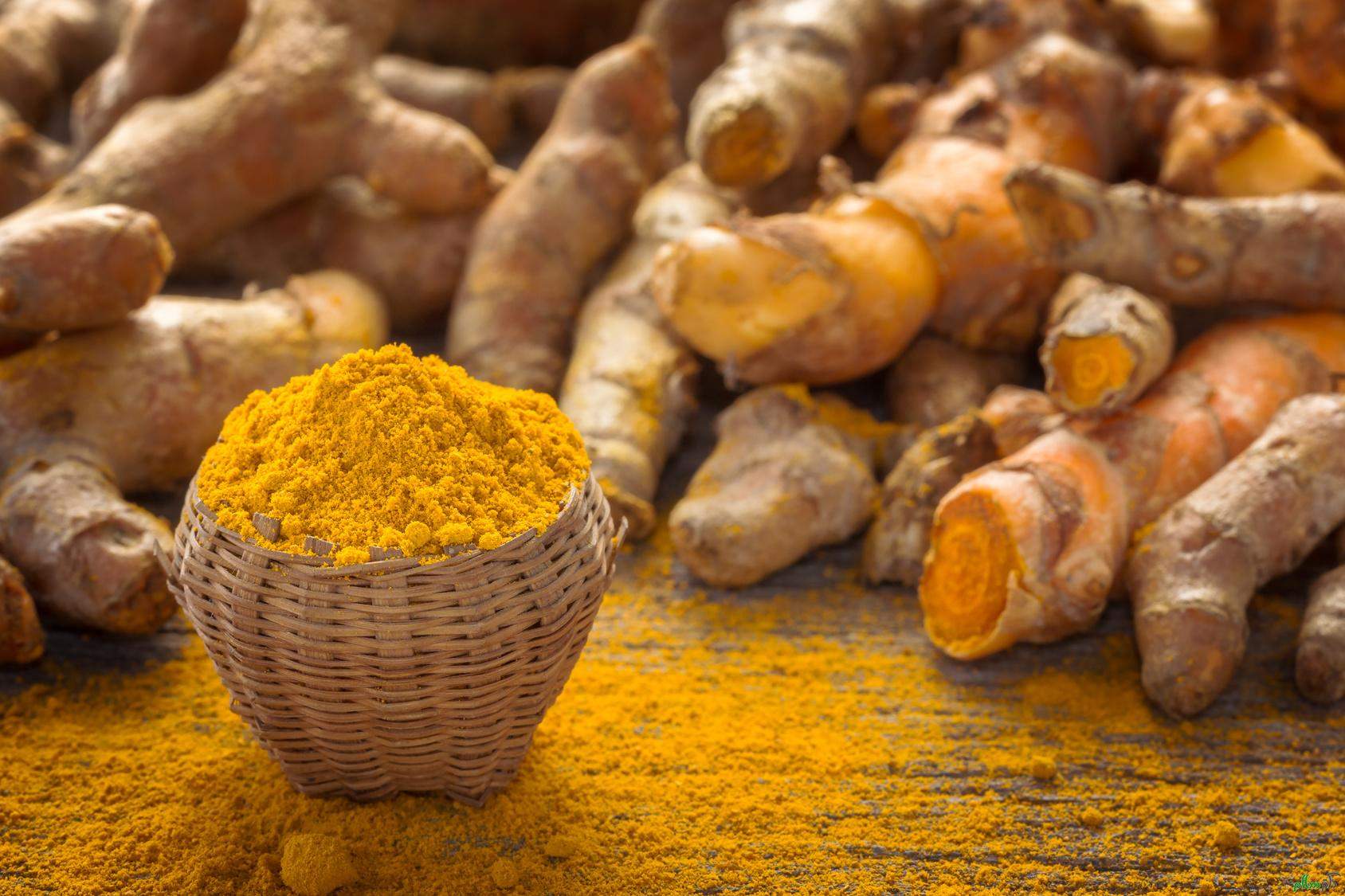 قیمت زردچوبه در بازار چقدر است؟