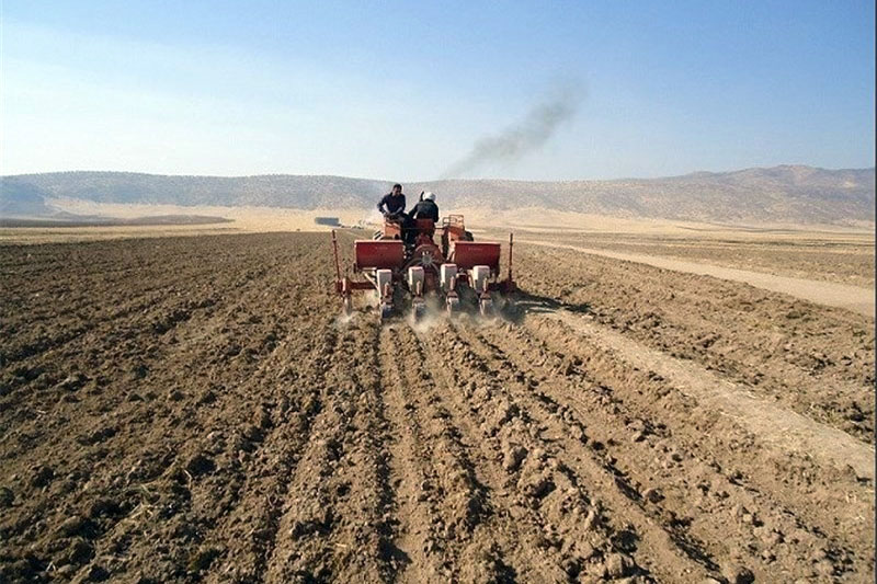 تعجیل در کشت پائیزه گندم در مناطق سردسیری