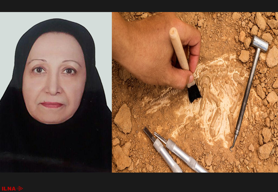 ماجرای بیرون&zwnj;زدن کله اسکلت از ساختمان های تازه ساز در یزد!
