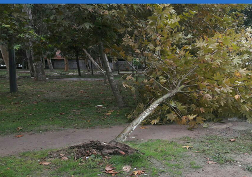 وزش تندباد شدید در ۳ شهر مازندران