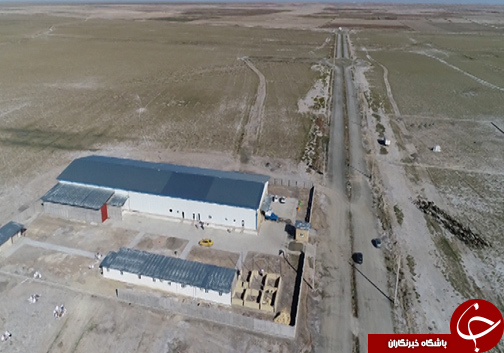 پرورش میگو شوره زارهای گلستان را آباد کرد / ارز آوری بالای میگو در کشور