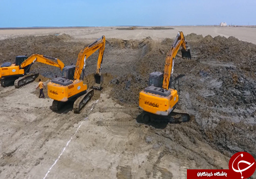 پرورش میگو شوره زارهای گلستان را آباد کرد / ارز آوری بالای میگو در کشور