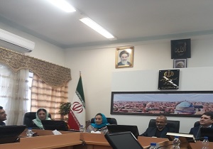 گا‌م های محکم زیلوی میبد تا جهانی شدن/ هنر زیلو بافی به دنیا معرفی خواهد شد
