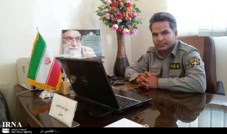 محموله پرندگان وحشی در تربت حیدریه کشف شد