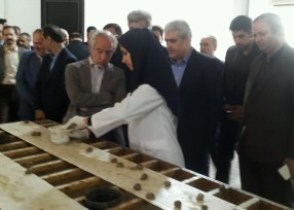 ستاری برای بازدید از چند شرکت دانش بنیان وارد گیلان شد