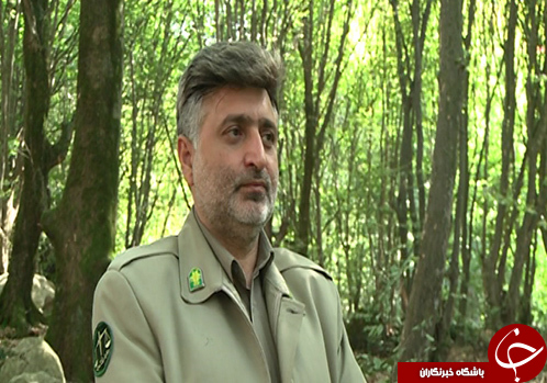 سایه سنگین کمبود امکانات برسر محیط بانان/ حمایت قضایی از محیط بانان در حد لایحه