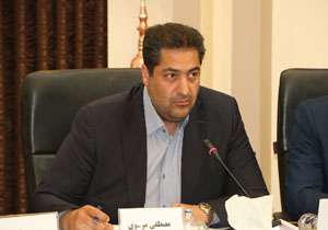 وضعیت مطلوب ۶۰ درصد واحد‌های روستایی در استان کرمان