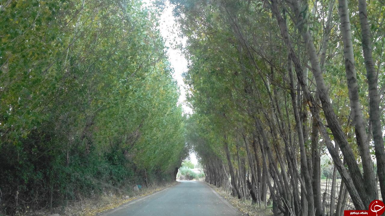 نمایی از طبیعت بی&zwnj;نظیر در روستای اصلانشاه + تصاویر