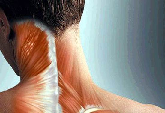 ورزش&zwnj;های مناسب برای درمان گرفتگی گردن+ تصاویر