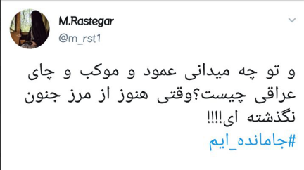 جامانده ایم و شرح دل ما خجالت است +تصاویر