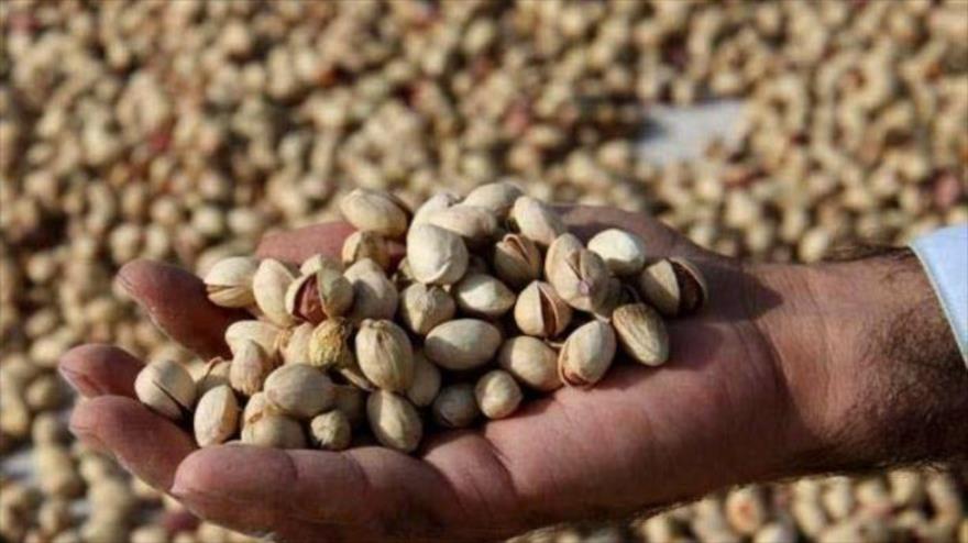 چرا قیمت پسته 5 برابر شد؟/ بهانه جویی بی&zwnj;اساس فروشندگان برای افزایش قیمت