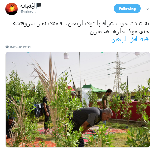 +تصاویر