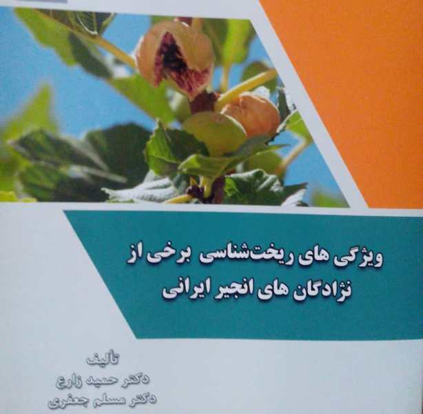 انتشار کتاب ویژگی ریخت شناسی انجیر ایرانی