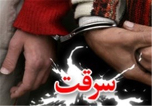 بازداشت بیش از ۲۰ سارق در فیروزآباد