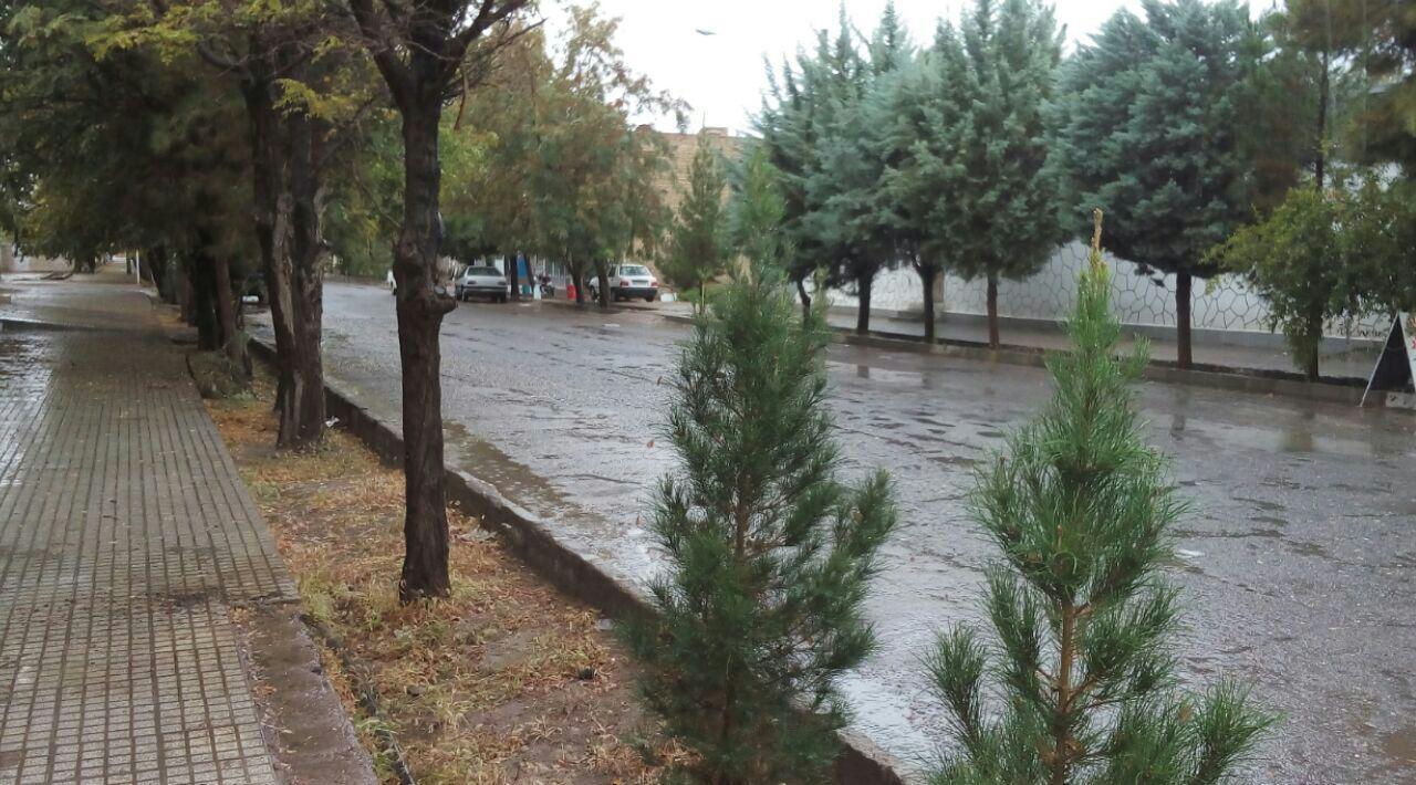 باران، پائیز شهربابک را دل انگیز کرد
