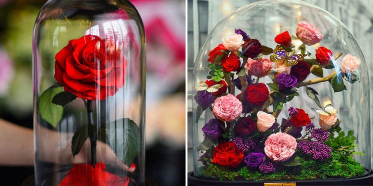 گل&zwnj;های رز طبیعی با 20 سال عمر + تصاویر