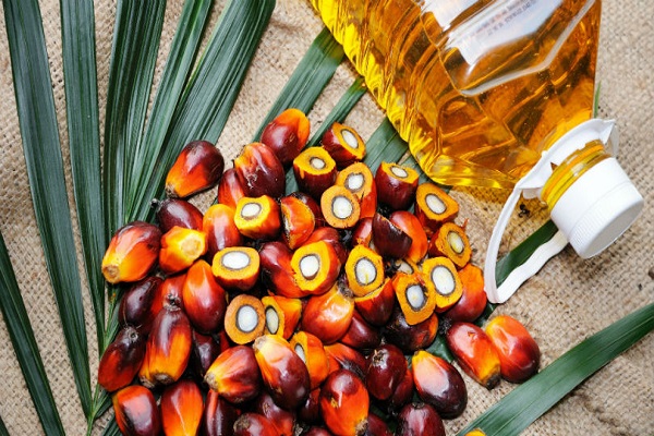 روغن نخل چیست و چه مزایایی دارد؟