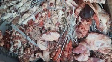 معدوم کردن سه تن آلایش دامی غیرمجاز در خمینی شهر