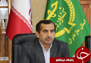 بی نیازی از واردات برنج با اصلاح الگوی مصرف