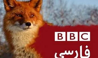 بی بی سی