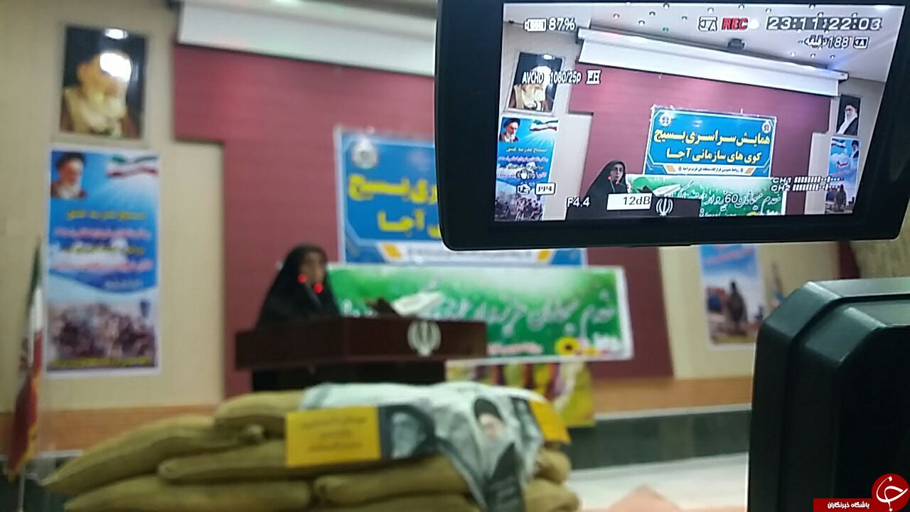 بسیج  شجره طیبه است