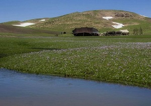 شناسایی ۱۳ نوع ماهی در دشت سیلاخور