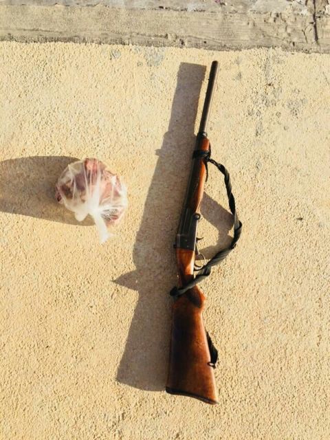 شکارچی تشی در تنگستان دستگیر شد