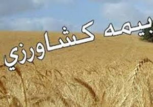 ۳۰ دی ماه، آخرین مهلت برای بیمه محصولات کشاورزی